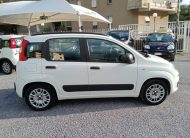 FIAT PANDA 1.2 GPL