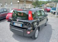 FIAT PANDA HYBRID 1.0 FIREFLY