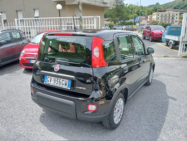 FIAT PANDA HYBRID 1.0 FIREFLY