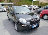 FIAT PANDA HYBRID 1.0 FIREFLY
