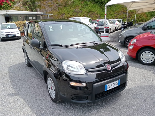 FIAT PANDA HYBRID 1.0 FIREFLY
